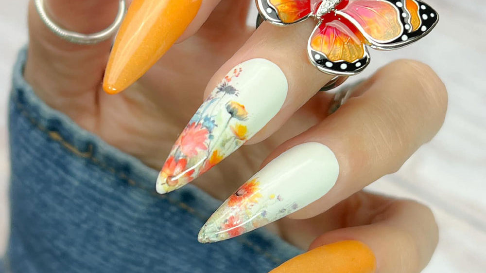 NEW Butterfly Collection