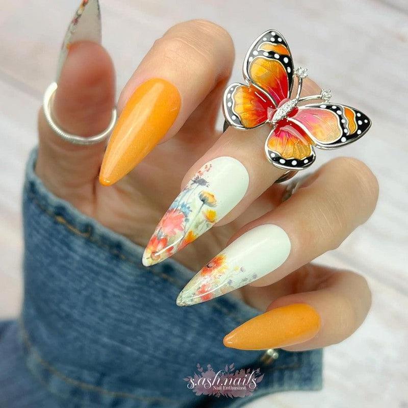 Butterfly Collection-Fairy Glamor