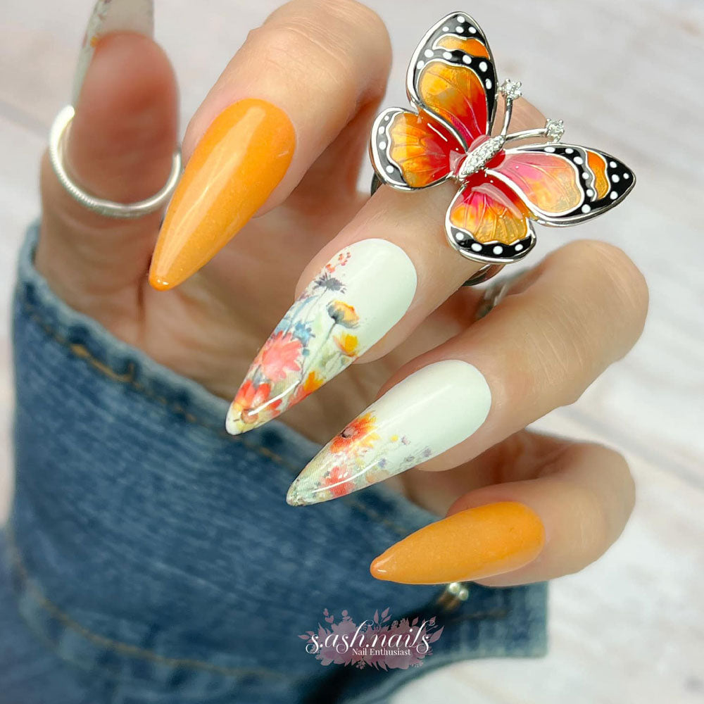 NEW Butterfly Collection