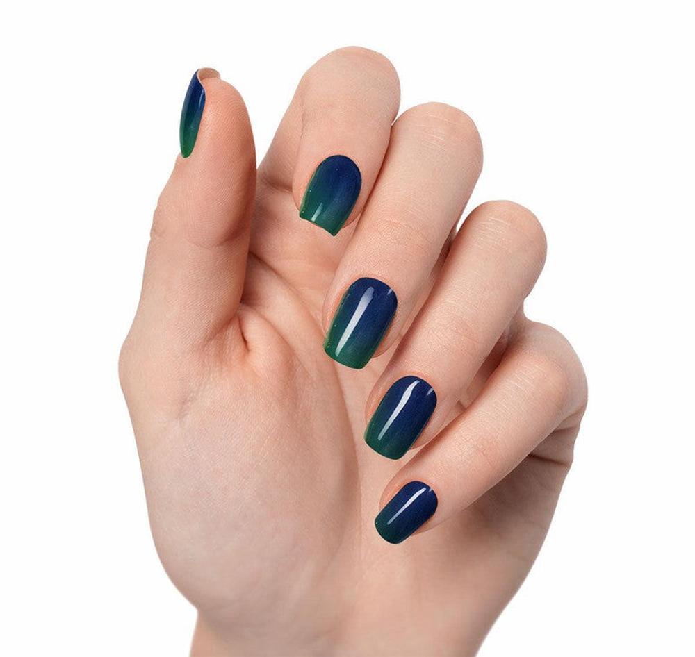 Butterfly Starter Kit-Fairy Glamor